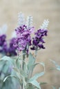 Beautiful purple lavender of artificial flowers