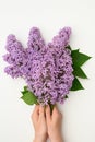 Beautiful purple lilac in female hands on a white background. Florist concept. Syringa vulgaris.Floral card Royalty Free Stock Photo