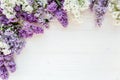 Beautiful purple lilac on wooden white background