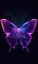 beautiful purple neon glowing butterfly illustration at black background, colorful magic light wallpaper