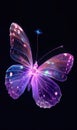 beautiful purple neon glowing butterfly illustration at black background, colorful magic light wallpaper