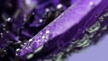 Beautiful purple open bud.Stock footage. Macro photography of art where flowers are lowered into the water and they are