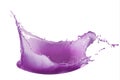 Purple paint splash isolated on white background Royalty Free Stock Photo