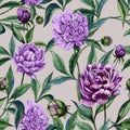 Beautiful purple peony flowers with green leaves on beige background. Seamless floral pattern. Watercolor painting.