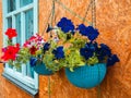 Flowers hanging outside Royalty Free Stock Photo