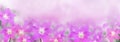 Beautiful purple rain lily flower on soft romance background with copy space for valentine header or banner