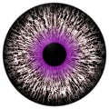 Beautiful purple round and white eye 3d halloween eyeball