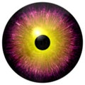Beautiful purple and round yellow 3d halloween eyeball