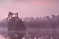 Beautiful purple sunrise on wild lake