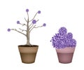 Beautiful Purple Trees in Two Flower Pots Royalty Free Stock Photo