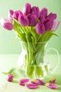 Beautiful purple tulip flowers bouquet in vase Royalty Free Stock Photo