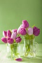 Beautiful purple tulip flowers bouquet in vase Royalty Free Stock Photo