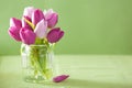 Beautiful purple tulip flowers bouquet in vase Royalty Free Stock Photo