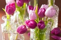 Beautiful purple tulip flowers bouquet in vase Royalty Free Stock Photo