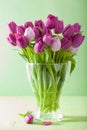 Beautiful purple tulip flowers bouquet in vase Royalty Free Stock Photo
