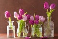 Beautiful purple tulip flowers bouquet in vases Royalty Free Stock Photo