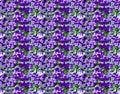 Violet flowers seamless pattern photo background