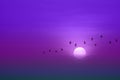 beautiful purple violet sunset and silhouette of birds fly passing sun and blur sky Royalty Free Stock Photo