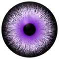 Beautiful purple white black 3d halloween eyeball
