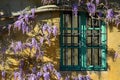 Purple Wisteria Flower In Bloom On A House With Green Windows And Yellow Walls. Florence, Italy.