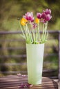 Beautiful purple and yellow tulips in green vase on wooden table outside. Out of focus concept Royalty Free Stock Photo