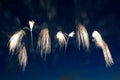 Pyrotechnic fireworks show in the night sky.