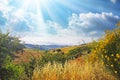 Beautiful quiet inspirational spanish morning mountain valley scene, sun rays, yellow genista broom shrub, agricultural fields,