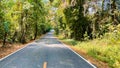 Beautiful Quiet Place, Road in to The Deep Forest