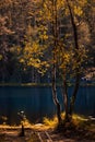 A beautiful quiet place on the shores of a picturesque forest lake with a water surface and coastal trees. Autumn landscape Royalty Free Stock Photo