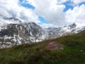 Still snowy spring nature in otztaler alps