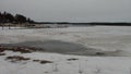 Swedish lake coast in the winter Royalty Free Stock Photo