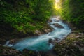 Beautiful Radovna river in the green forest at sunset, Slovenia