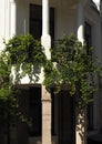 Beautiful railing with flower bed and ivy Royalty Free Stock Photo