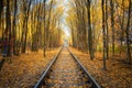 Beautiful railroad in autumn forest at sunset. Industrial