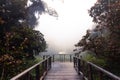 Beautiful rain forest at ang ka nature trail in doi inthanon national park, Thailand Royalty Free Stock Photo