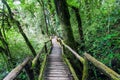 Beautiful rain forest at angka nature trail in doiinthanon national park, Thailand Royalty Free Stock Photo