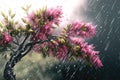 Ultra-Detail Beautiful Rain Spring Season, popular or the most searched in stock photos