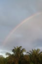 beautiful rainbow, a rainbow appears after the rain Royalty Free Stock Photo