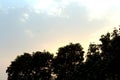 Beautiful rainbow colored sky with shaded trees.