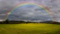 A beautiful rainbow over a field. A horse is running in the meadow. Royalty Free Stock Photo