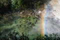 Rainbow over moss covered river