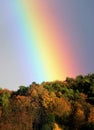 Beautiful rainbow spans colorful autumn forest 2 Royalty Free Stock Photo