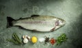 Beautiful Rainbow Trout with Fresh Herbs and Spices