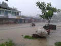 Beautiful Rainy season in bangladesh