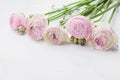 Beautiful ranunculus flowers on white stone table. Floral border in pastel color. Greeting card for Mothers or Womans Day.