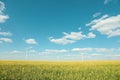 Beautiful rapeseed field windmills against blue sky