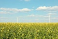 Beautiful rapeseed field with windmills against sky Royalty Free Stock Photo