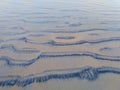 Beautiful rare black earth pattern at the Sonpur sea beach.