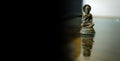 A beautiful and rare museum piece antique Bronze Burmese Buddha Statue.
