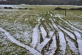 Rare winter view of typical Irish farm with tractor wheels prints on grass in Ticknock, Co. Dublin, Ireland